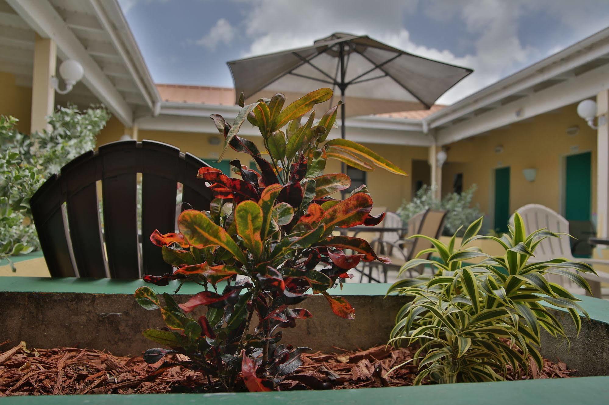 Carl'S Unique Inn & Conference Facilities Simpson Bay Exterior foto
